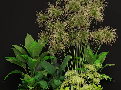 Lush Green Plants With Tall Grass Feathery Tops And Large Leaves Arrangement 3d model
