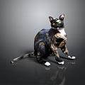 Calico Cat Standing On Glossy Dark Gray Surface With Yellow Eyes