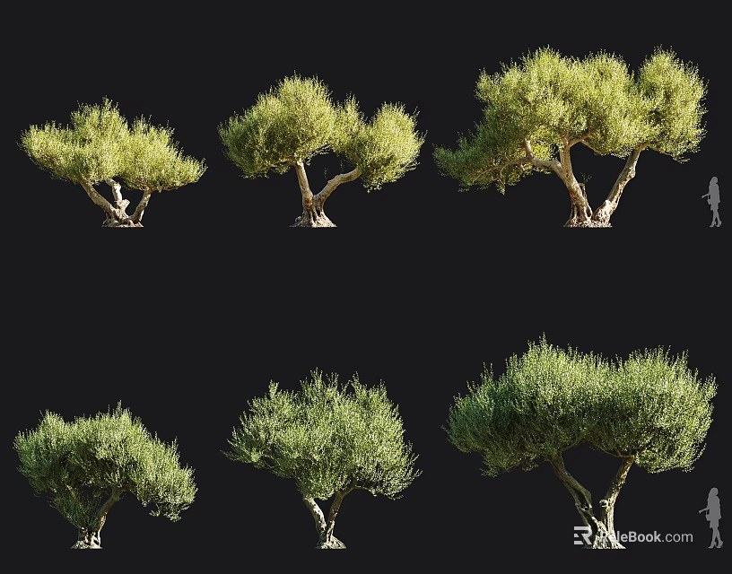 Multiple Trees In Various Forms With Human Silhouette For Scale Reference 3d model 