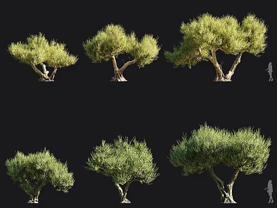 Multiple Trees In Various Forms With Human Silhouette For Scale Reference 3d model