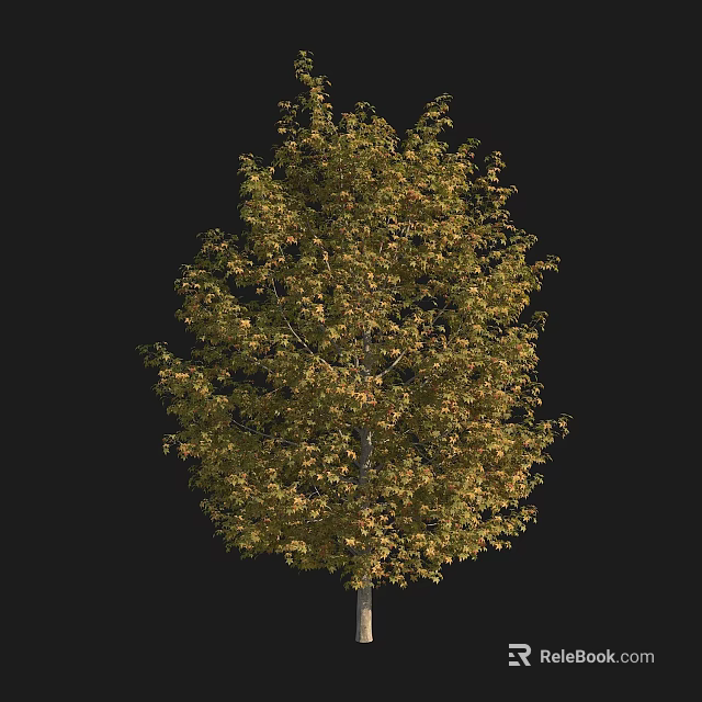 Lush Autumn Tree with Yellow Green Leaves and Light Trunk Full Canopy 3d model 