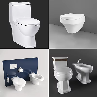Different Modern Toilet Styles Including Wall Mounted Floor Standing And Bidet Designs 3d model