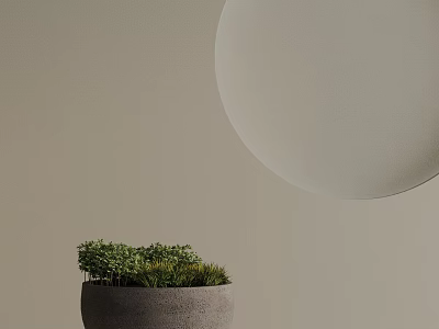 Gray Bonsai Pot with Green Plants on Light Brown Background and White Circular Object 3d model