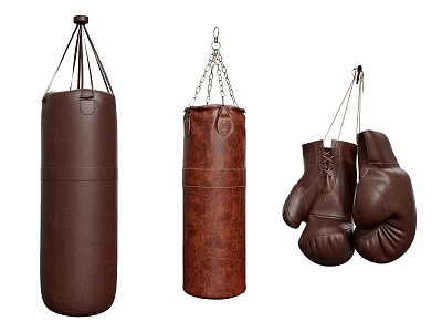 Boxing Sports Equipment With Hanging Punching Bags And Leather Gloves 3d model