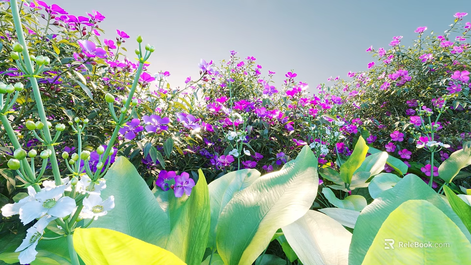Beautiful Sunlit Garden Flowers With Purple Pink White Blooms And Large Green Leaves 3d model 
