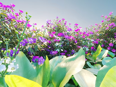 Beautiful Sunlit Garden Flowers With Purple Pink White Blooms And Large Green Leaves 3d model