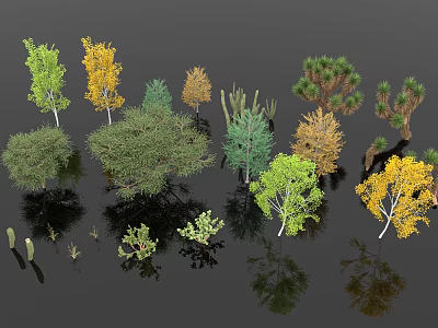 Various Types of Flowers and Plants with Green Yellow Foliage and Diverse Shrubs 3d model