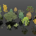 Various Types of Flowers and Plants with Green Yellow Foliage and Diverse Shrubs