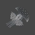 Transparent Jellyfish With White Spots And Long Tentacles On Black Background