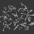 Clumped Wild Grass and Flowers with Varied Stems and Foliage on Gray Surface