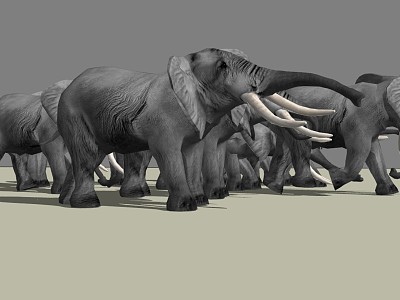 Modern Elephant Animals model