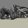 Modern Elephant Animals 3d model