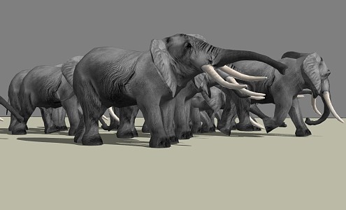 Modern Elephant Animals 3d model