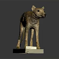 Tasmanian Tiger Detailed Preserved Taxidermy Specimen with Natural Features on White Display Base