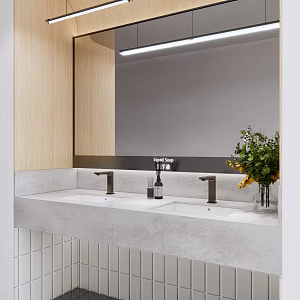 Modern sink public 3d model