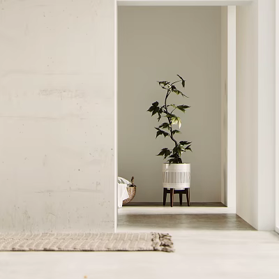 Modern Bonsai Bonsai Bonsai 3d model