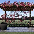 Wooden Pergola With Red Climbing Flowers Black Pottery Jar And Stone Slab Floor