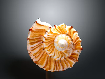 Orange And White Spiral Textured Plant With Gray Gradient Background 3d model