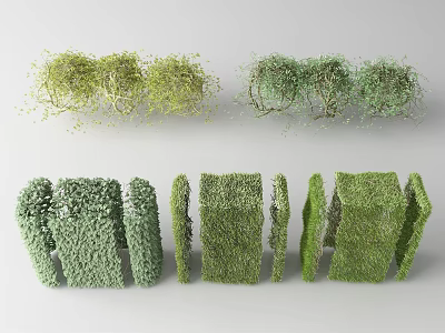 Green Shrubs With Various Structured Shapes And Decorative Garden Designs 3d model