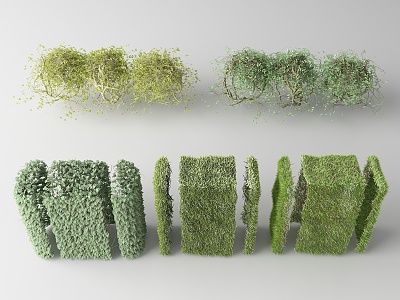 Modern shrubs 3d model