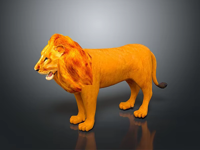 Lion 3D Model With Orange Fur Mane And Standing Pose On Gray Background 3d model