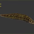Dark Brown Moray Eel With Yellow Spots Aquatic Marine Animal in Underwater Setting