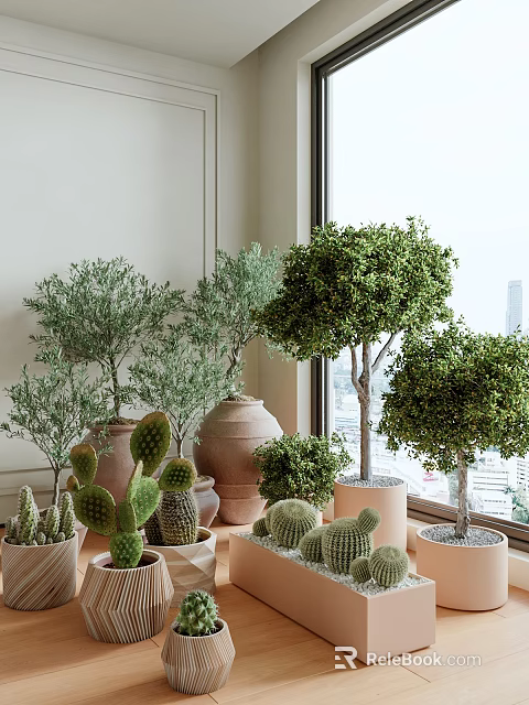 Decorative Bonsai Potted Plants On Indoor Window Sill With Various Species And Ceramic Terracotta Pots 3d model 