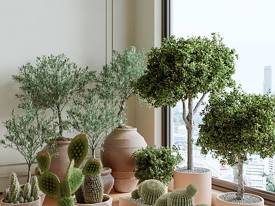 Decorative Bonsai Potted Plants On Indoor Window Sill With Various Species And Ceramic Terracotta Pots 3d model
