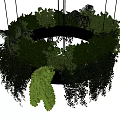 Abundant Lush Green Hanging Plants In Circular Suspended Structure Design