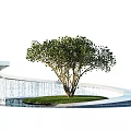 Decorative Garden Ornament With Curved White Water Feature Green Tree And Grass Area