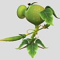 Plants vs Zombies Pea Shooter 3d model