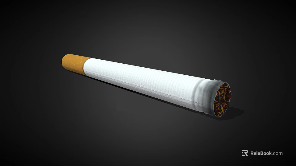 White Cigarette with Filter and Burned Tobacco End on Black Background 3d model 