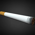 White Cigarette with Filter and Burned Tobacco End on Black Background