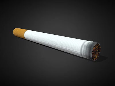 White Cigarette with Filter and Burned Tobacco End on Black Background 3d model