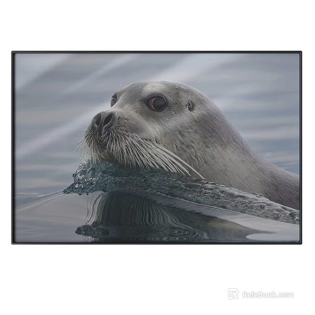 Realistic Animal Painting of Seal in Water with Whiskers and Reflection 3d model 