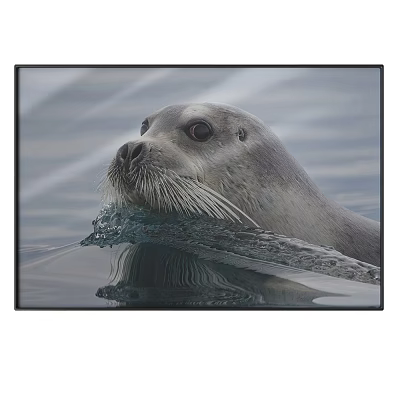 Realistic Animal Painting of Seal in Water with Whiskers and Reflection 3d model