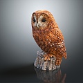 Modern owl grimaces owl long-eared owl 3d model