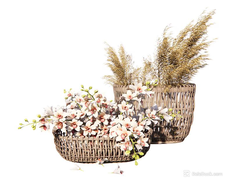 Beautiful White Pink Orchid Flowers in Wicker Baskets with Dried Grass and Green Foliage 3d model 
