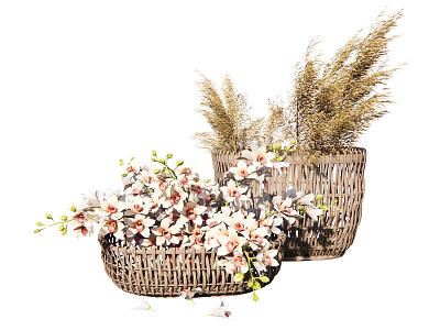 Beautiful White Pink Orchid Flowers in Wicker Baskets with Dried Grass and Green Foliage 3d model