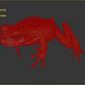 Vibrant Yellow Frog With Large Black Eyes And Pinkish Legs On Dark Surface
