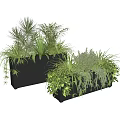 Modern Black Rectangular Planters Filled With Lush Diverse Green Plants 3d model