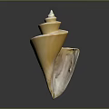 Shiny Yellow Spiral Conch As Marine Animal With Smooth Texture On Dark Background