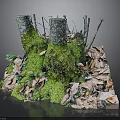 Natural Forest Ground Scene With Tree Stumps Covered In Green Moss And Fallen Leaves