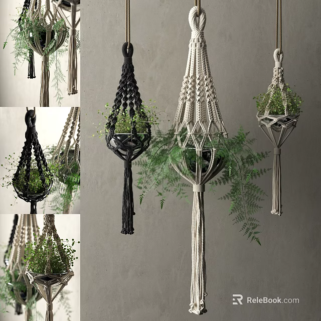 Macrame Plant Hangers With Green Ferns And Various Styles For Indoor Decor 3d model 