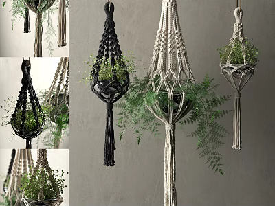 Macrame Plant Hangers With Green Ferns And Various Styles For Indoor Decor 3d model