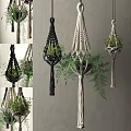 Macrame Plant Hangers With Green Ferns And Various Styles For Indoor Decor