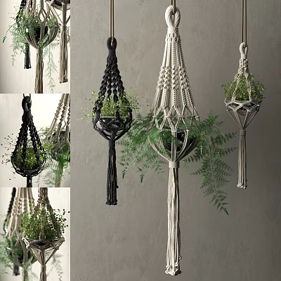 Macrame Plant Hangers With Green Ferns And Various Styles For Indoor Decor 3d model