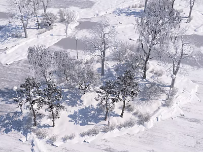 Scenic Winter Snowy Landscape With Snow Covered Trees White Ground And Long Shadows 3d model
