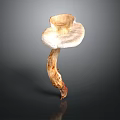 Isolated Wild Mushroom With Light Brown Stem And White Cap On Dark Background