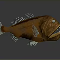 Brown Aquatic Fish With Large Eyes Sharp Teeth And White Fins 3d model